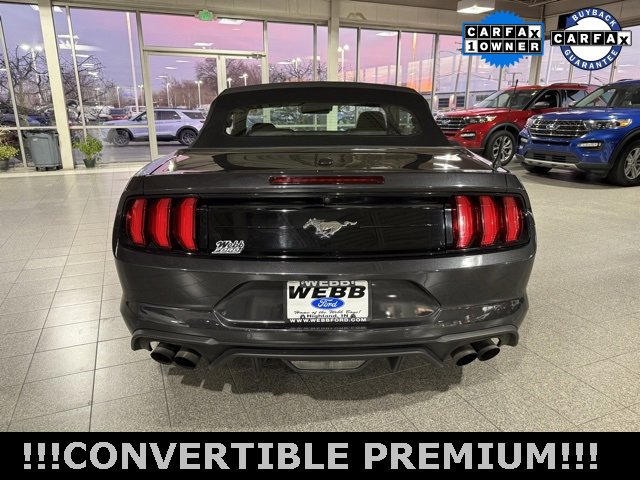 Used 2022 Ford Mustang Premium w/ Equipment Group 201A image 7