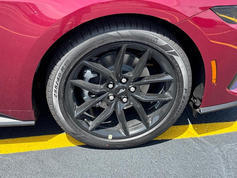 New 2026 Ford Mustang Coupe w/ Mustang Nite Pony Package RWD image 11