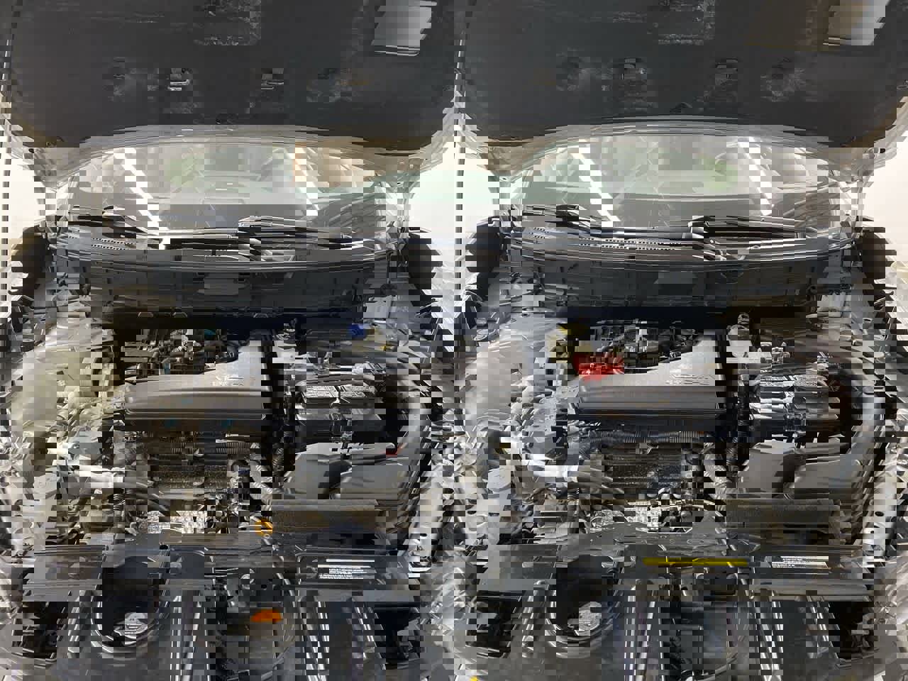 Used 2017 Nissan Rogue SL w/ SL Premium Package image 13