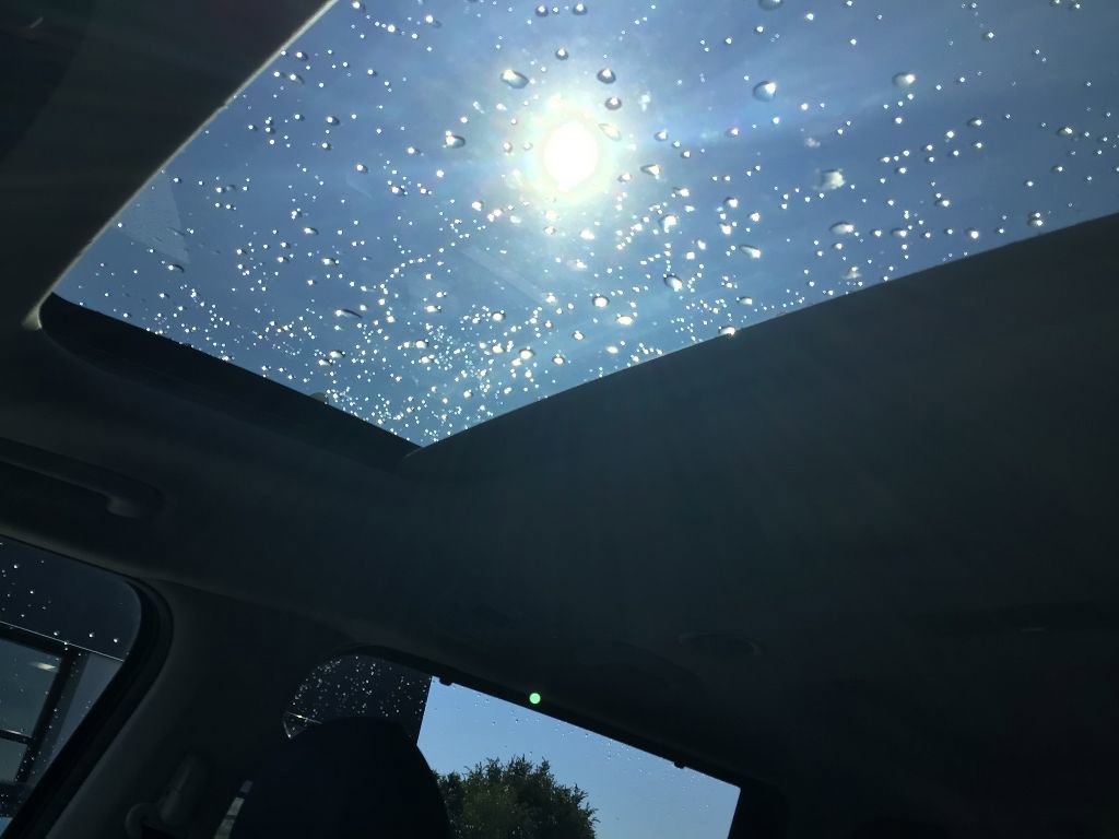 New 2026 Kia Carnival SX Prestige image 11