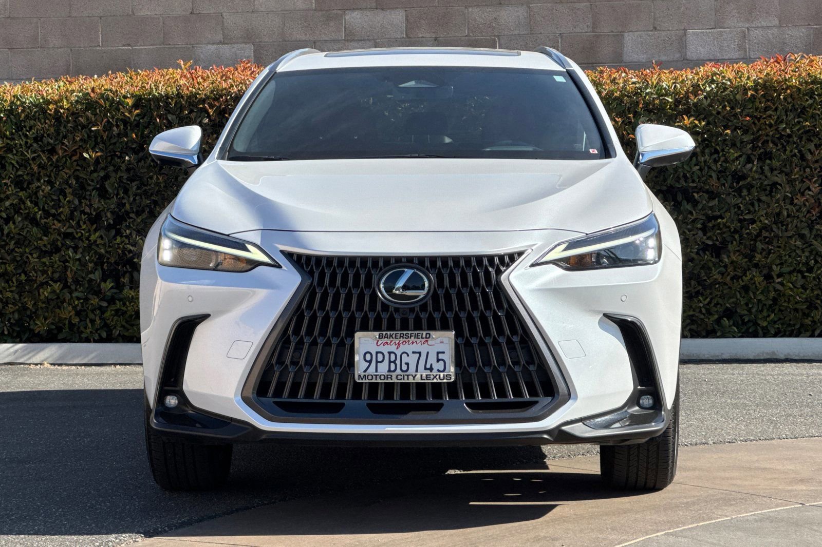 Certified 2025 Lexus NX 350h AWD w/ Cold Area Package image 10