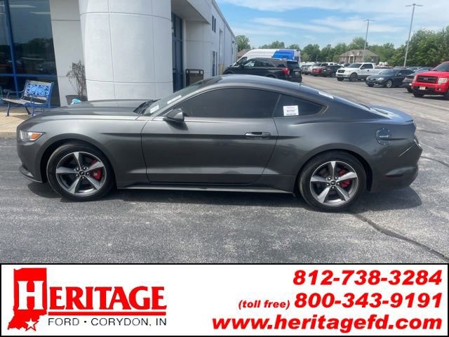 Used 2015 Ford Mustang Coupe w/ Equipment Group 051A RWD image 1
