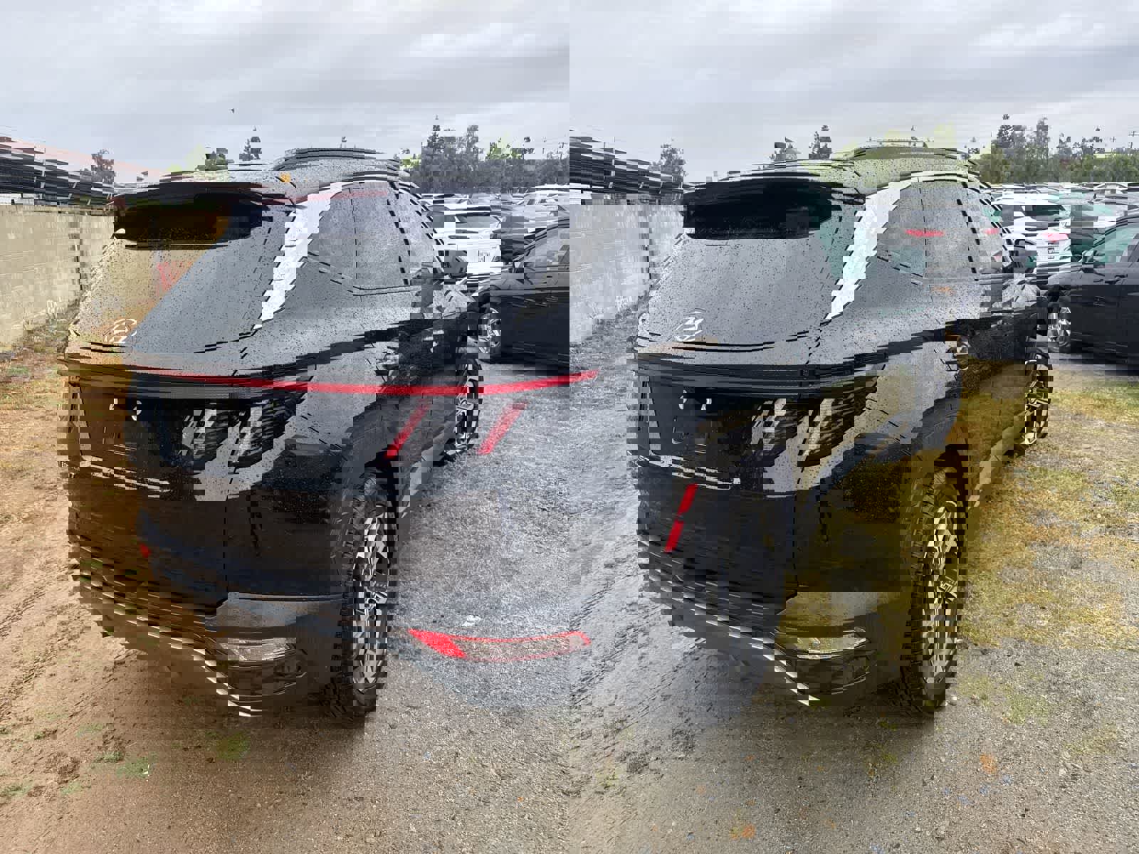 Used 2024 Hyundai Tucson Limited image 5