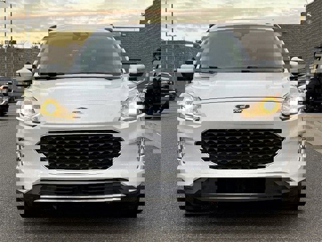 Used 2020 Ford Escape SEL image 5