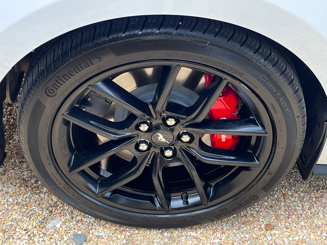 Used 2024 Ford Mustang GT image 13