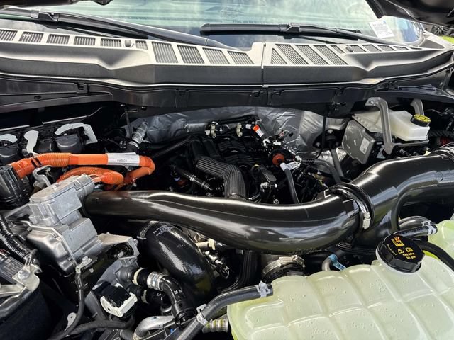 Used 2026 Ford F150 XL w/ Equipment Group 104A Hybrid RWD image 37