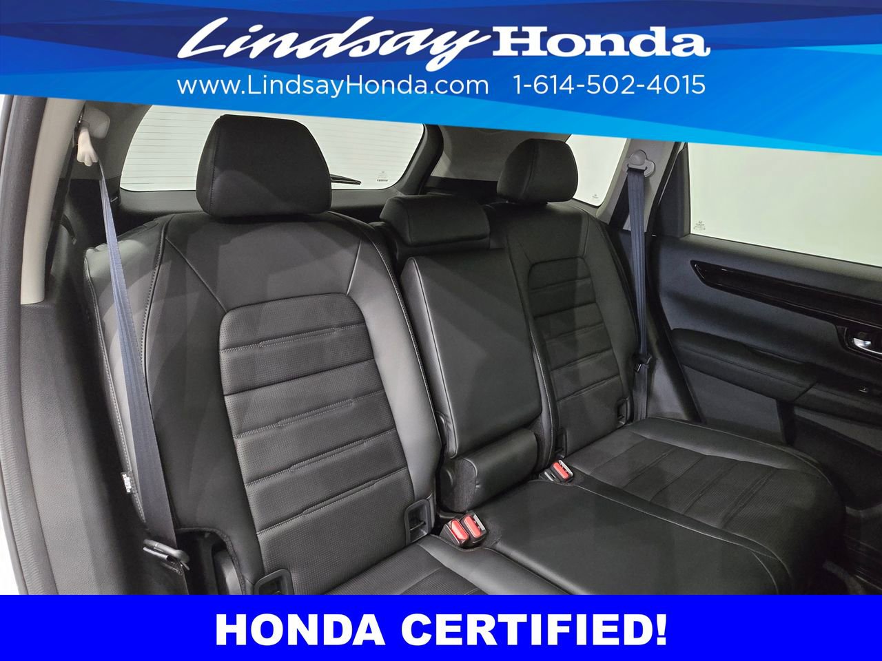Certified 2024 Honda CR-V EX-L image 9