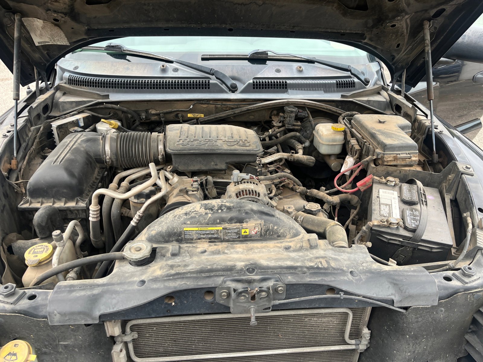 Used 2005 Dodge Dakota SLT image 21