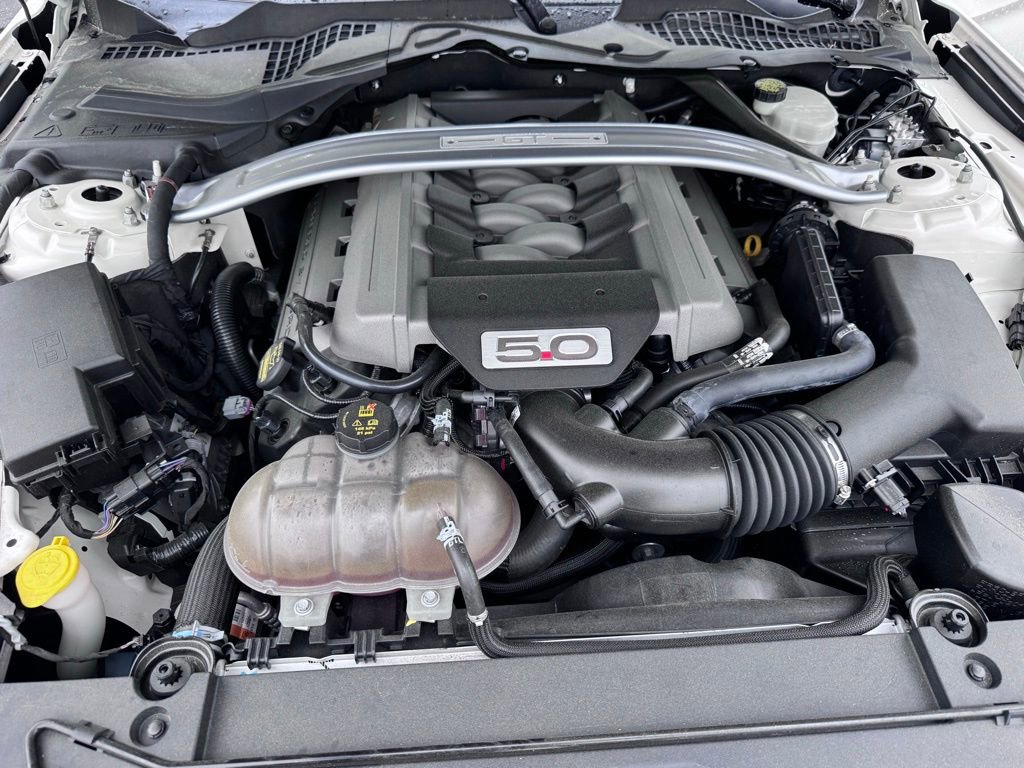 Used 2015 Ford Mustang 50 Years RWD image 25