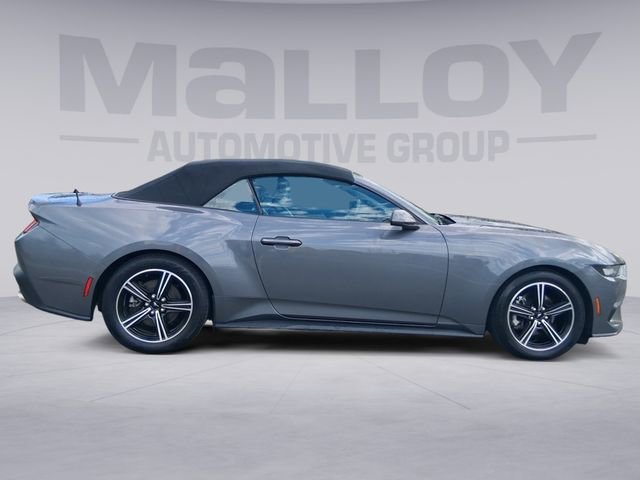 Used 2024 Ford Mustang Premium image 6