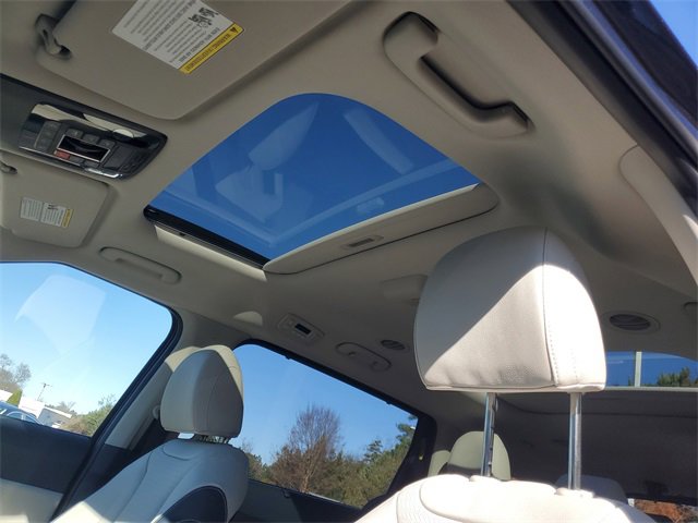 New 2026 Kia Carnival SX Prestige image 15