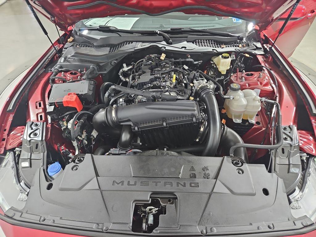 Used 2024 Ford Mustang Premium RWD image 22