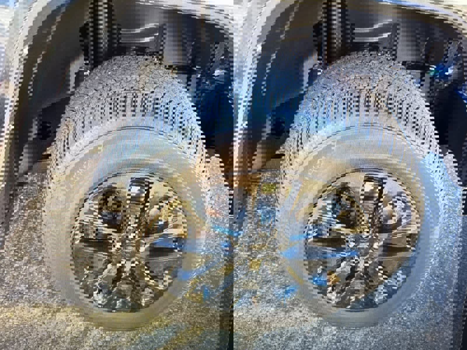 Used 2021 Jeep Wrangler Unlimited Sahara w/ Cold Weather Group image 22