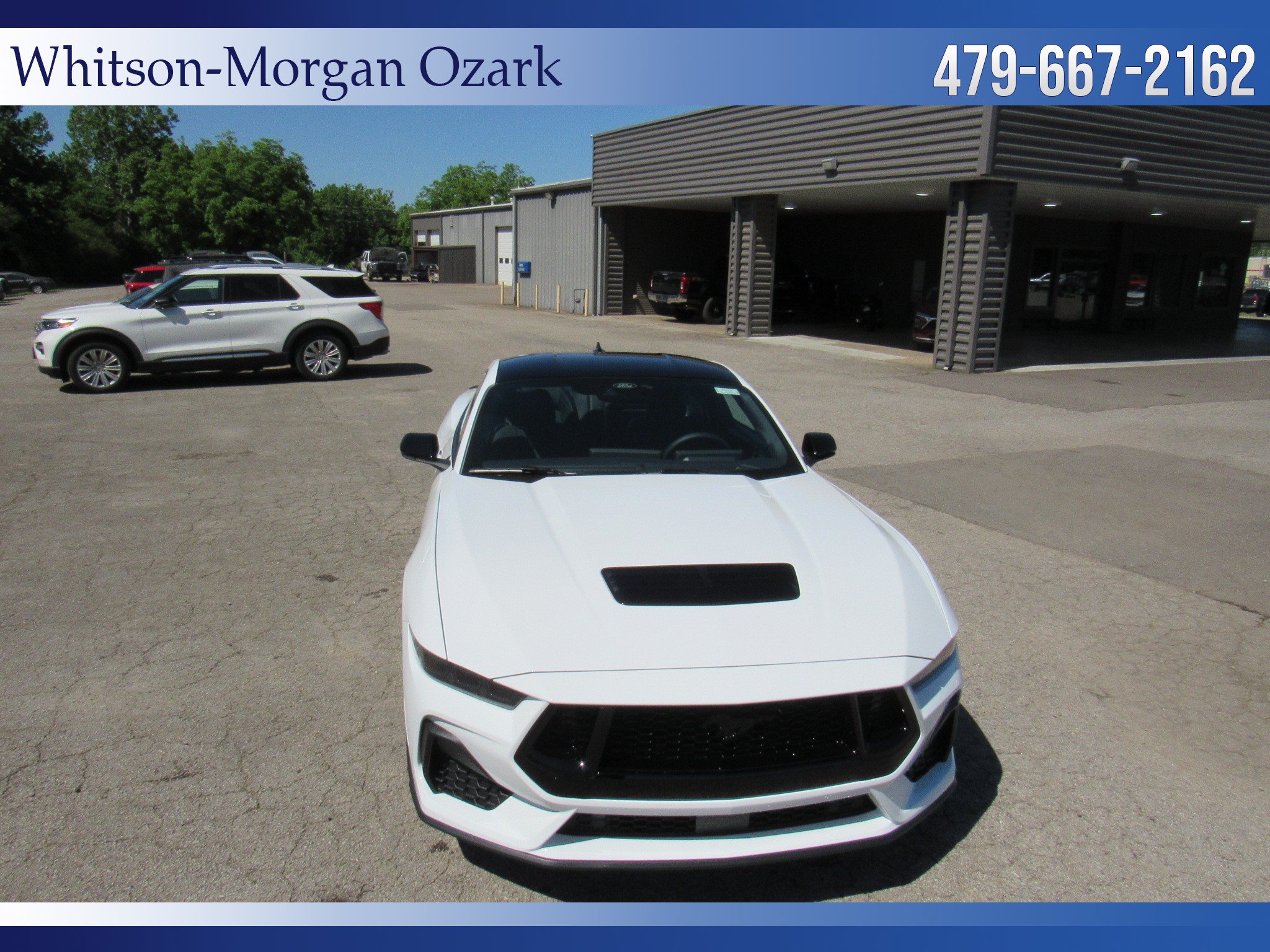 New 2026 Ford Mustang GT w/ Mustang Nite Pony Package RWD image 23