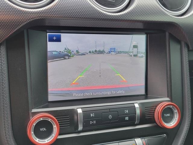 Used 2020 Ford Mustang GT w/ Equipment Group 301A image 16