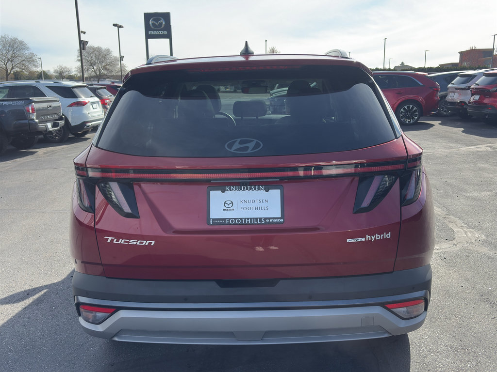 Used 2025 Hyundai Tucson Limited AWD/4WD image 6