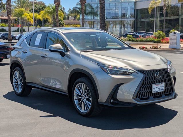 Used 2025 Lexus NX 350h AWD w/ Cold Area Package image 3