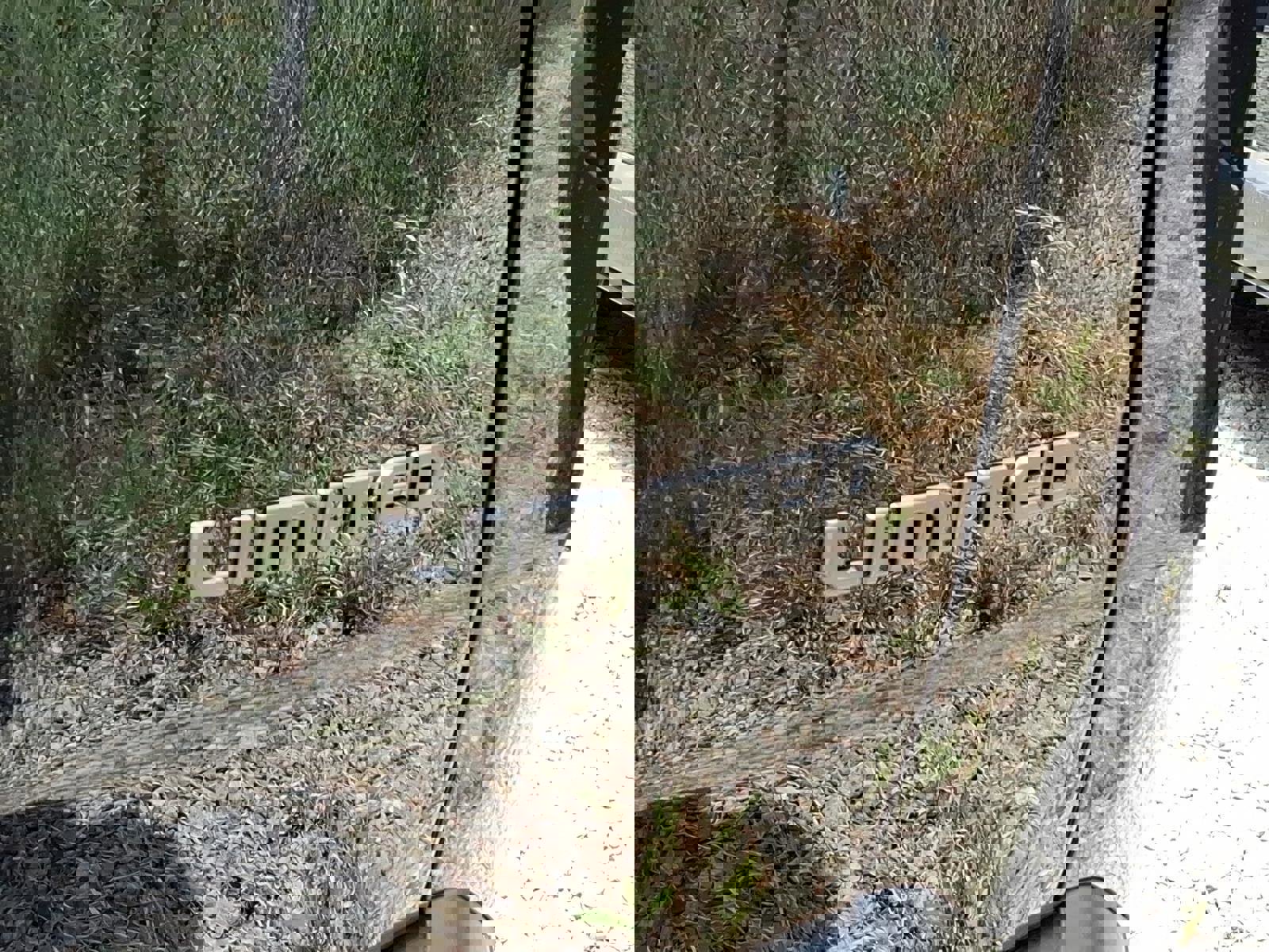 New 2026 Jeep Cherokee Limited image 4