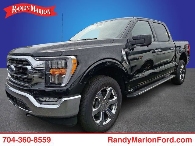 New 2023 Ford F150 XLT w/ Equipment Group 302A High image 1