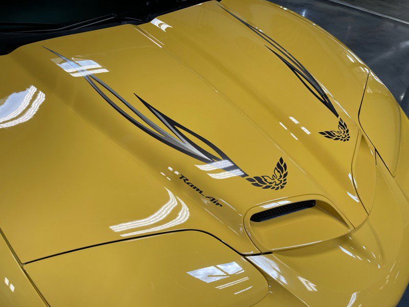 Used 2002 Pontiac Firebird Trans Am image 22