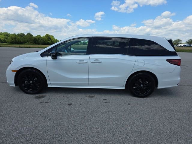 Used 2023 Honda Odyssey Sport image 10