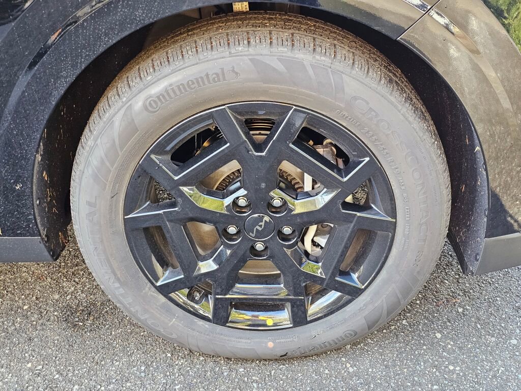 New 2026 Kia Carnival SX Prestige image 35