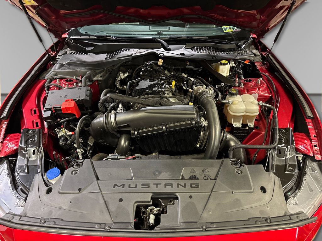 Used 2024 Ford Mustang Premium image 15
