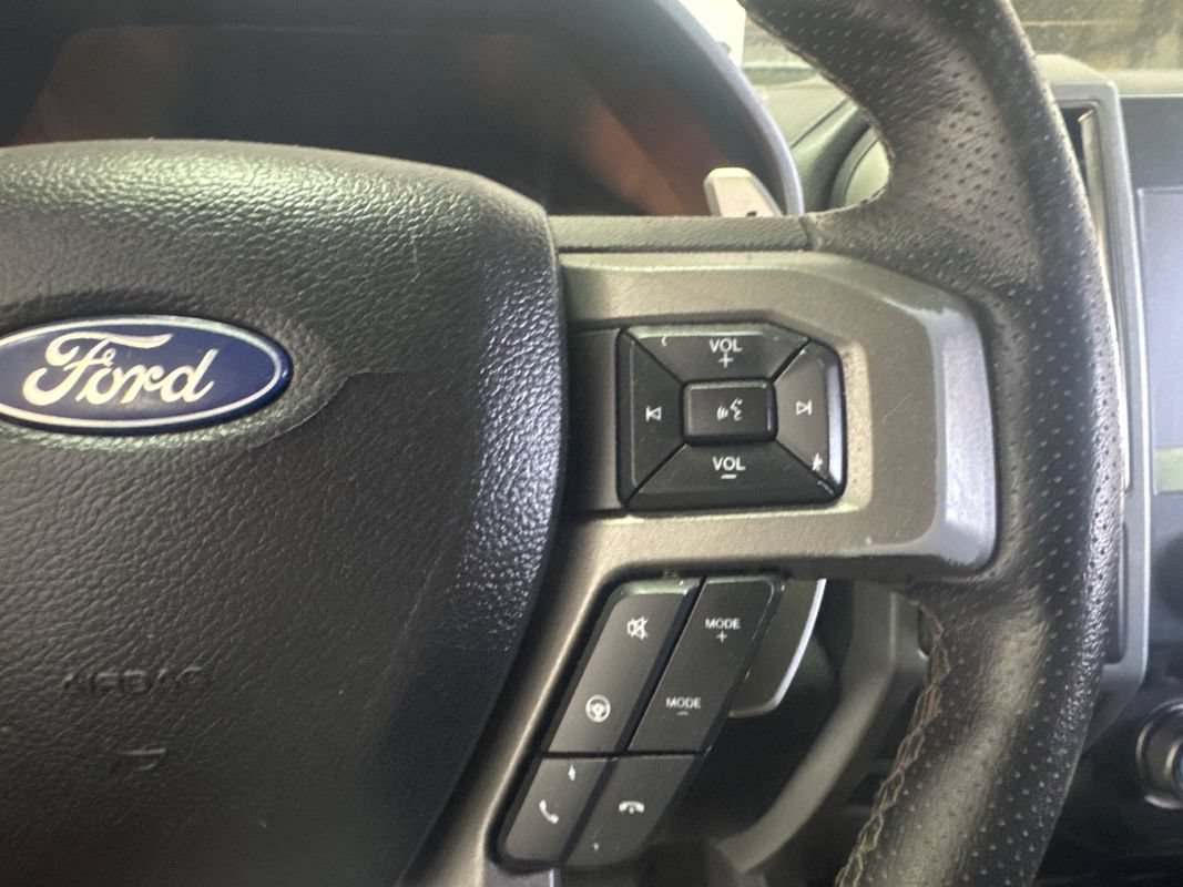 Used 2017 Ford F150 Raptor w/ Equipment Group 802A Luxury AWD/4WD image 15