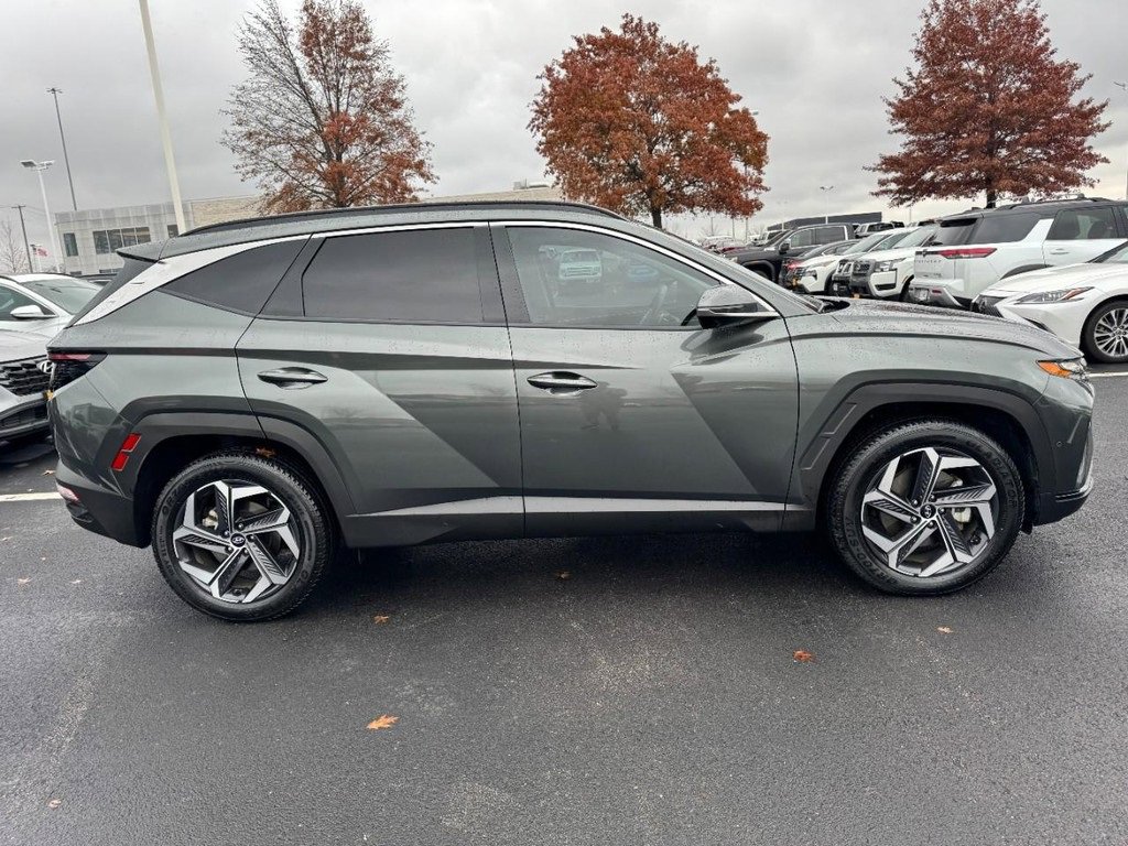 Certified 2024 Hyundai Tucson Limited image 2