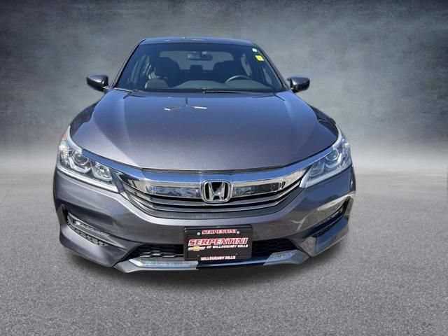 Used 2017 Honda Accord Sport image 3