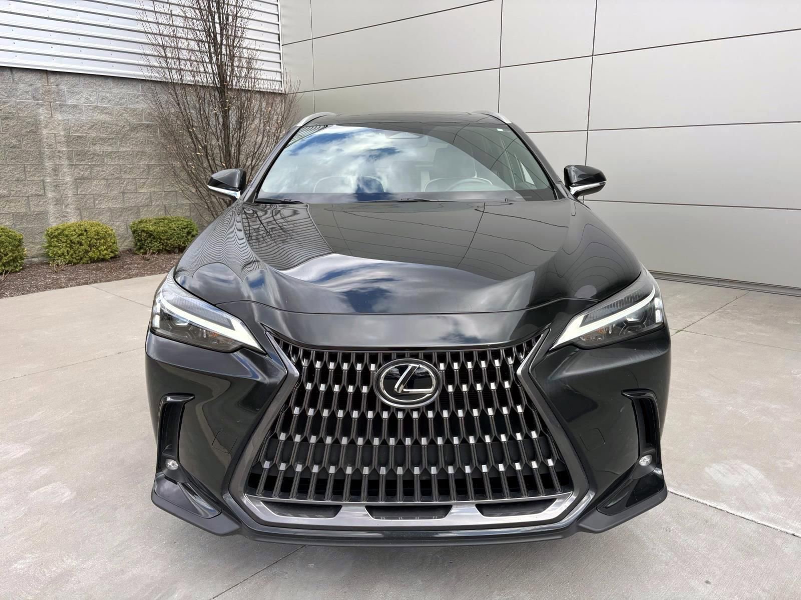 Used 2024 Lexus NX 350h AWD w/ Cold Area Package image 2