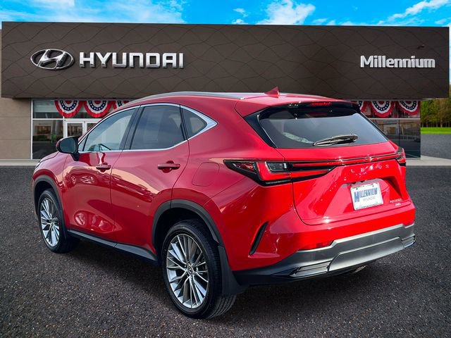 Used 2023 Lexus NX 350h AWD image 5
