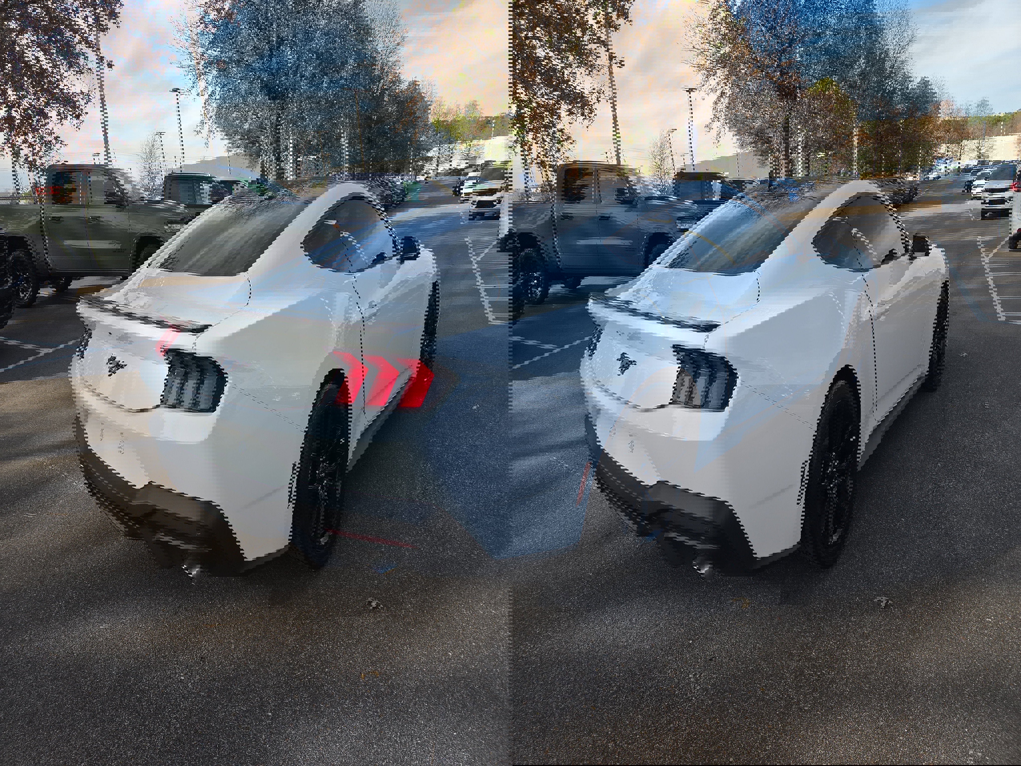 Used 2024 Ford Mustang Premium w/ Mustang Nite Pony Package image 5