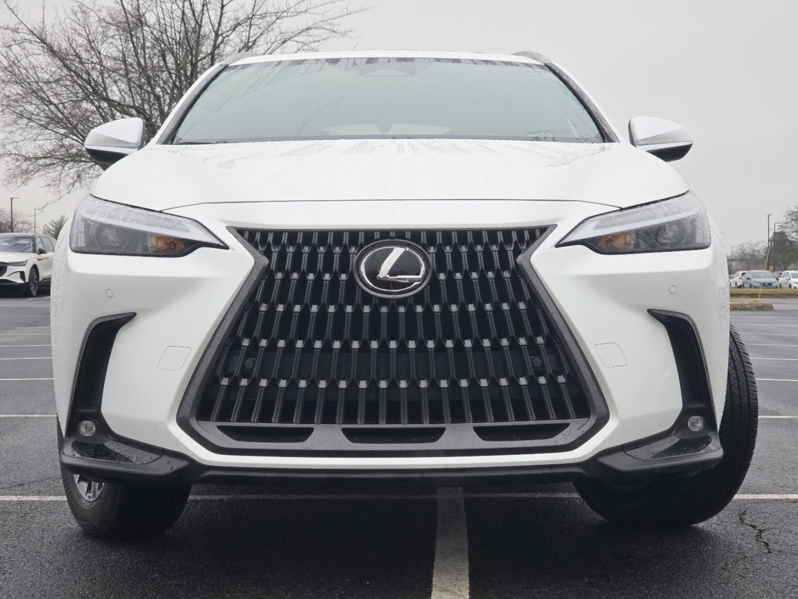 Used 2024 Lexus NX 350 AWD image 14