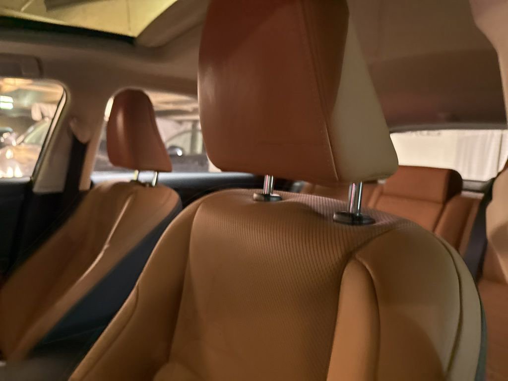 Used 2020 Lexus NX 300h AWD w/ Premium Package image 12