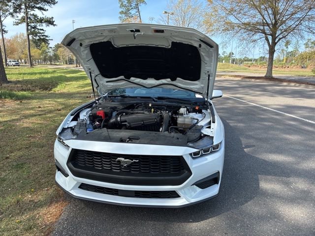 Used 2024 Ford Mustang Premium image 20