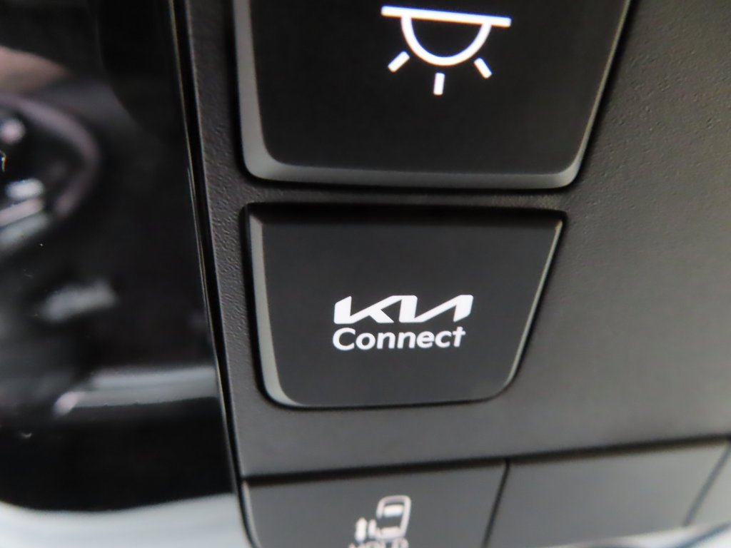 New 2026 Kia Carnival image 13