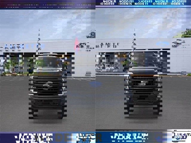 New 2026 Ford F250 Platinum image 6
