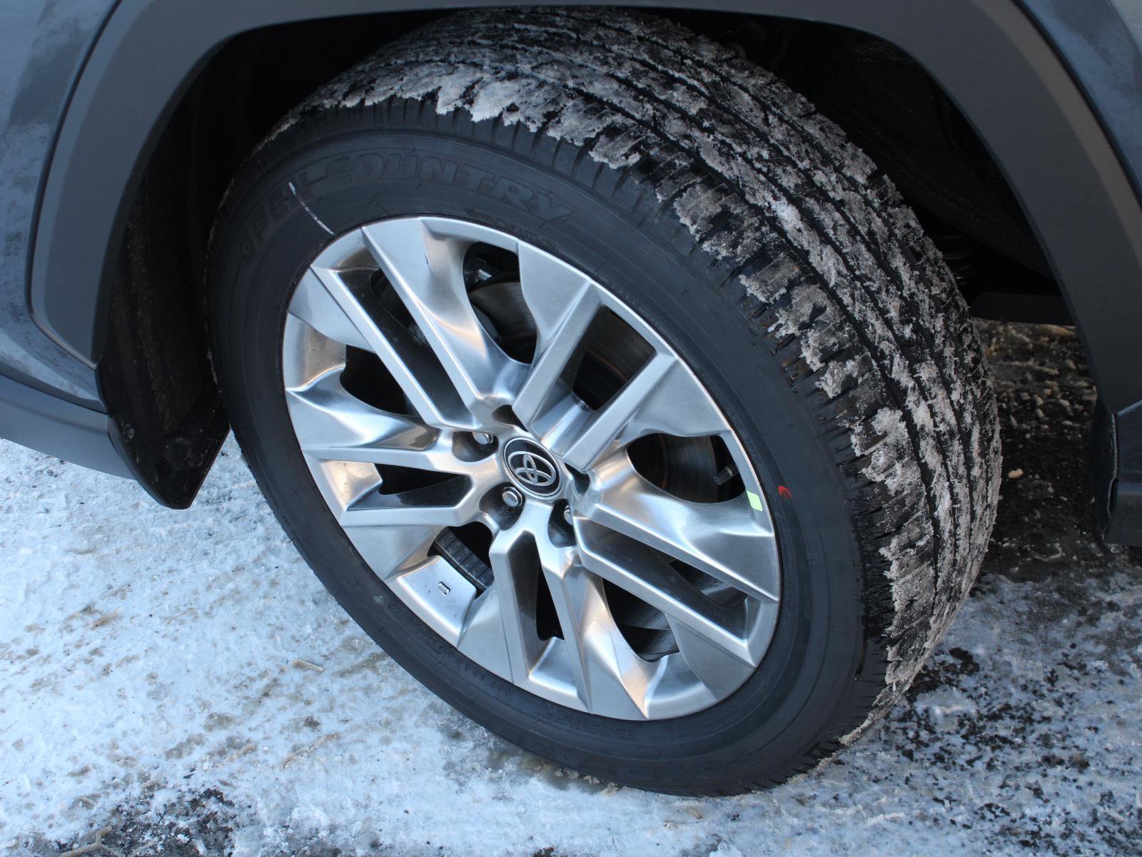 New 2025 Toyota RAV4 Limited image 19