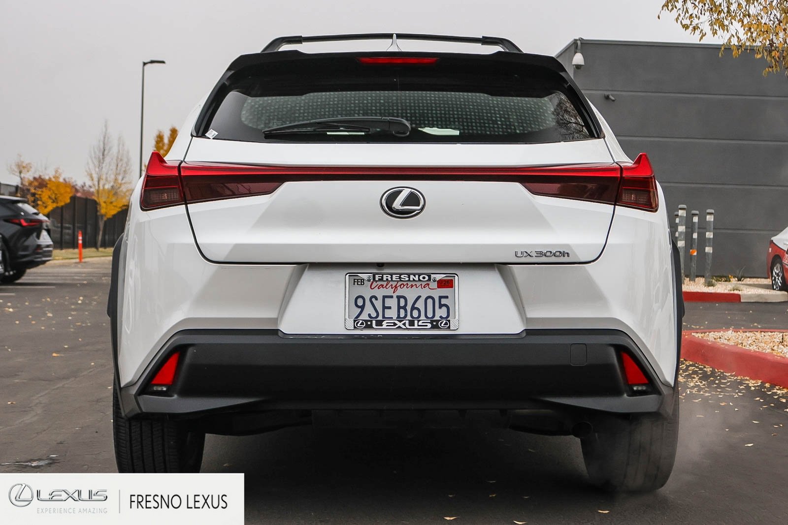 Used 2025 Lexus UX 300h FWD image 5