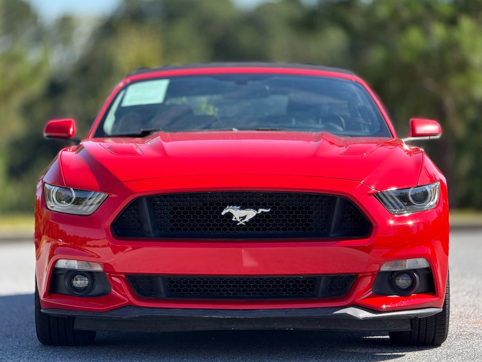 Used 2015 Ford Mustang GT Premium image 2