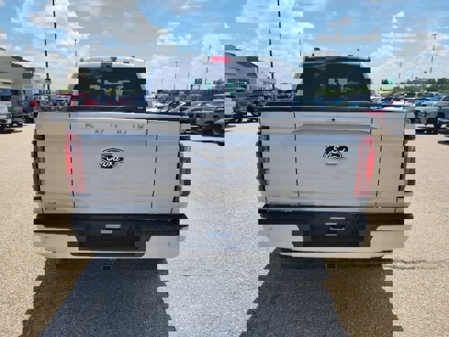 New 2025 Ford F150 Platinum image 30