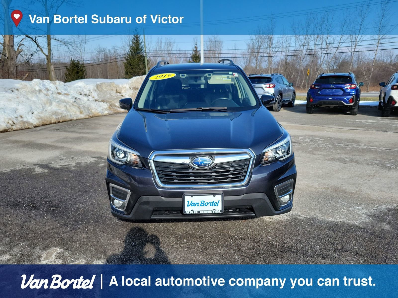 Used 2019 Subaru Forester Limited image 8