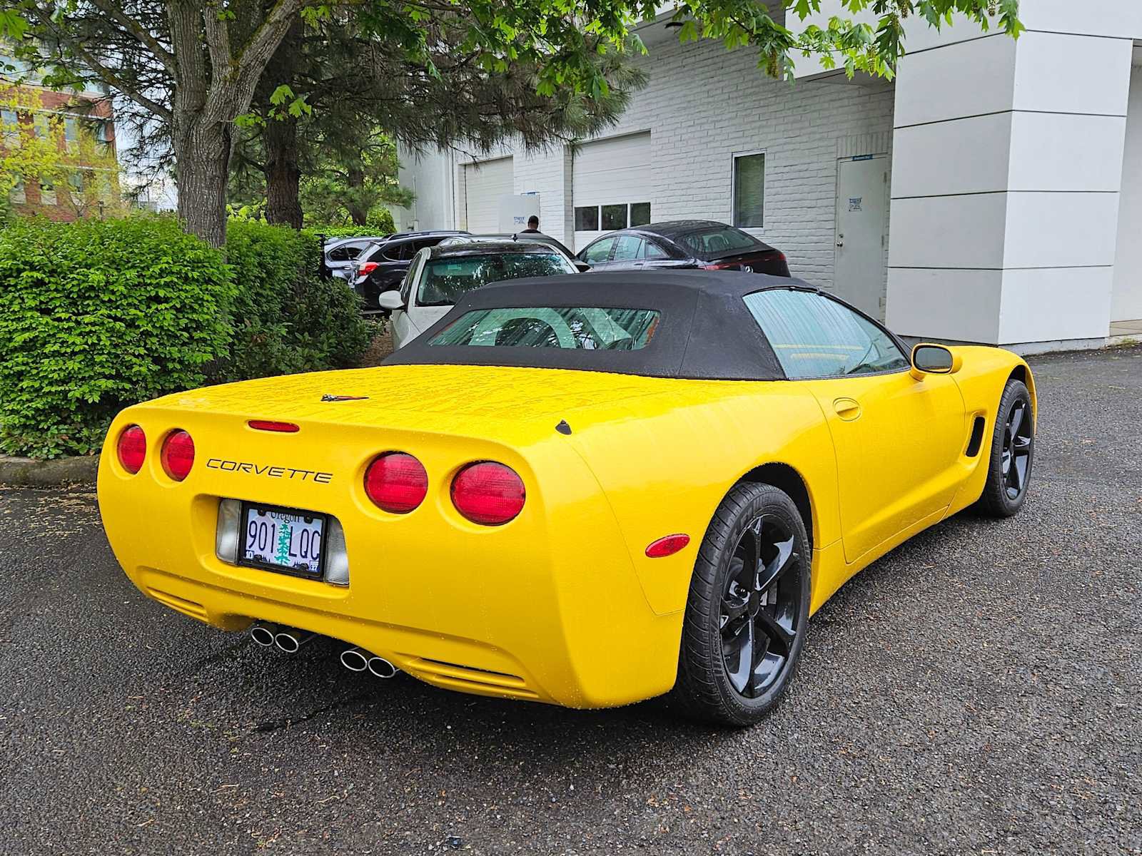 Used 2001 Chevrolet Corvette Convertible w/ Preferred Equipment Group2 RWD image 3