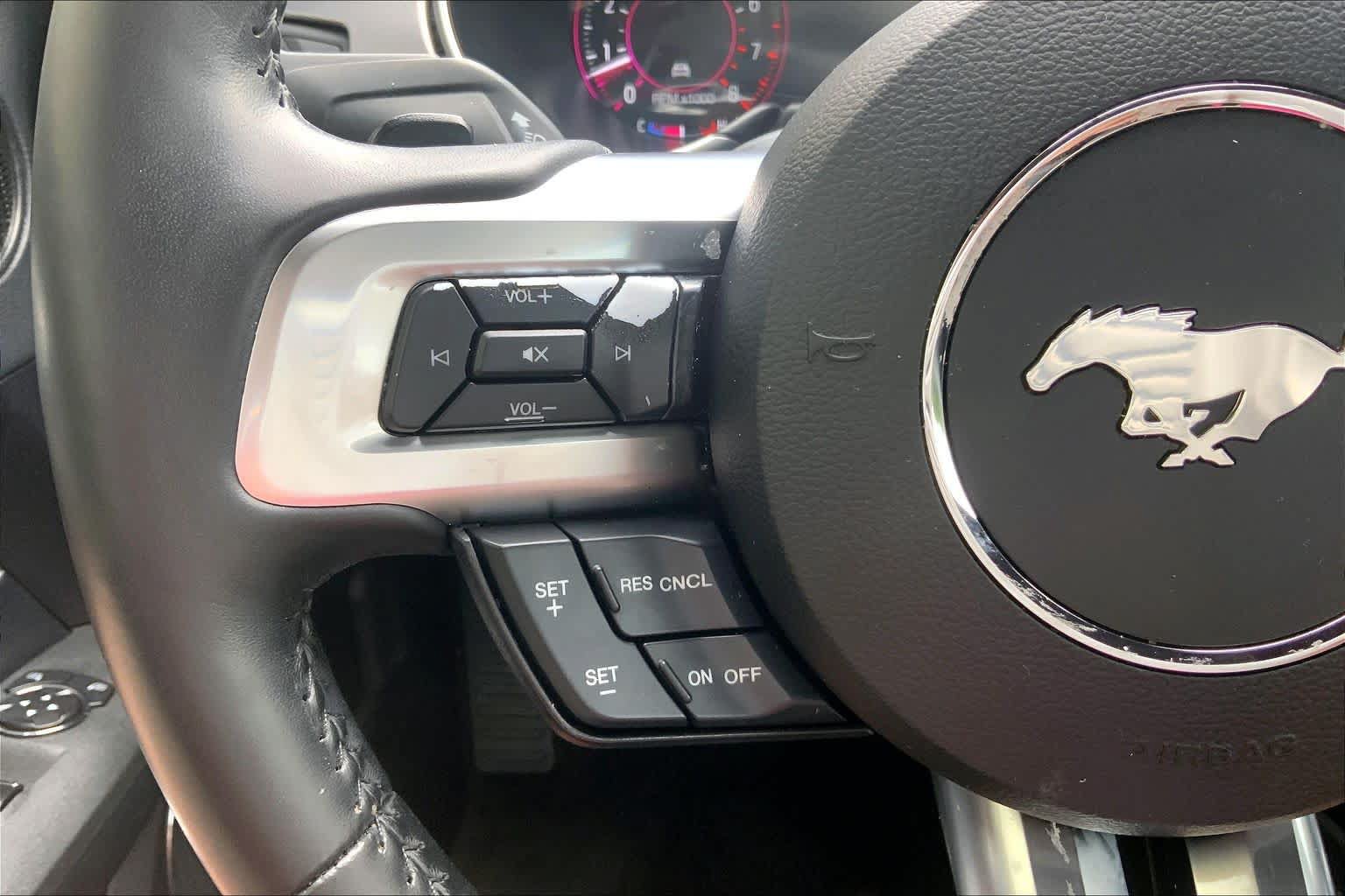 Used 2019 Ford Mustang Premium w/ Equipment Group 201A RWD image 20