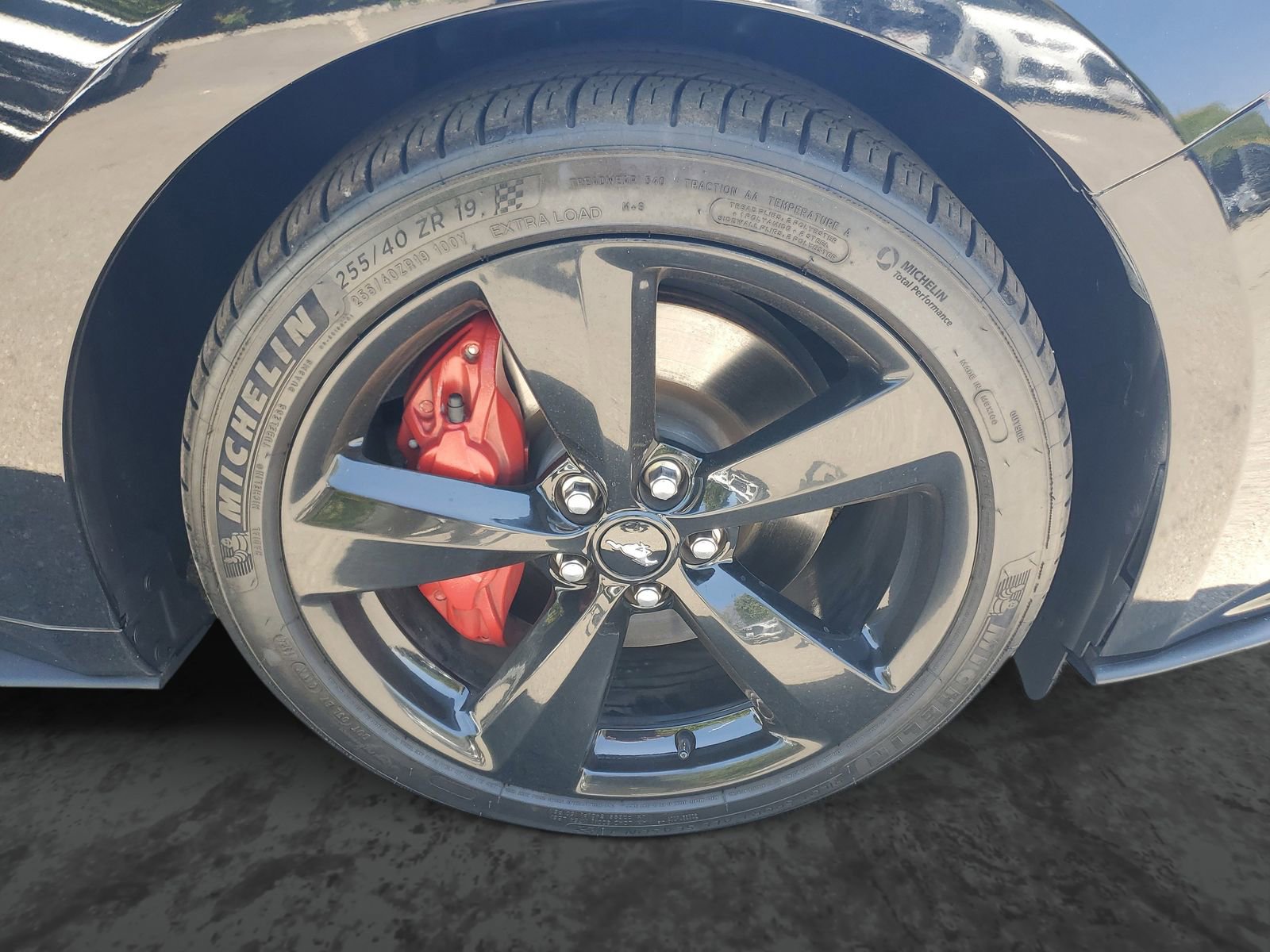 Used 2021 Ford Mustang GT Premium w/ Equipment Group 401A RWD image 6