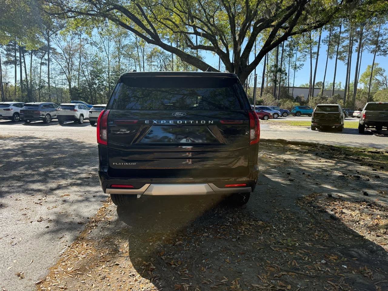 Used 2025 Ford Expedition Platinum image 6