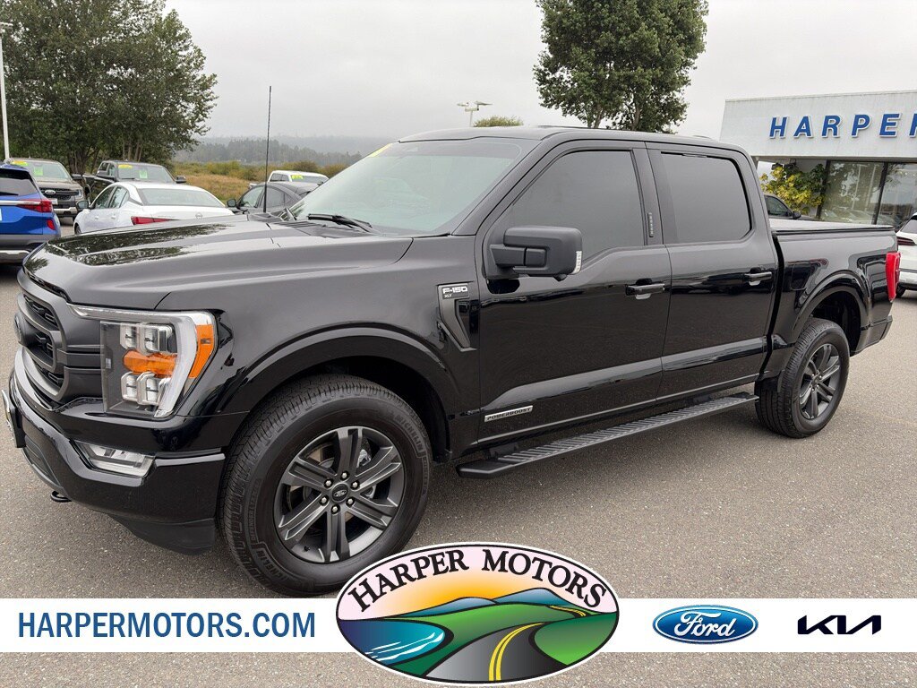 Used 2023 Ford F150 XLT w/ Equipment Group 302A High AWD/4WD image 1