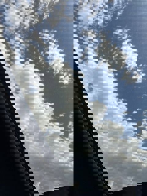 Used 2018 Honda Civic Si image 23