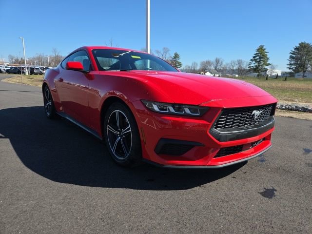 Used 2024 Ford Mustang Premium image 1